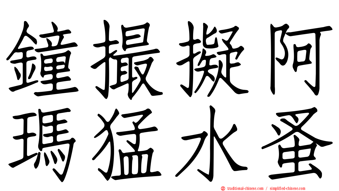 鐘撮擬阿瑪猛水蚤