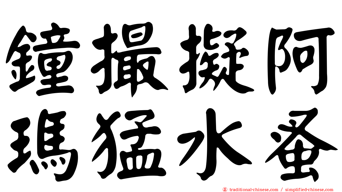 鐘撮擬阿瑪猛水蚤