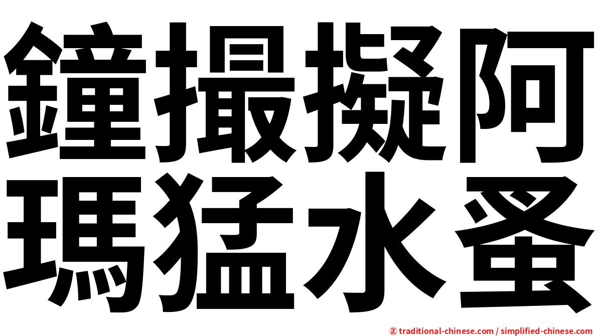 鐘撮擬阿瑪猛水蚤