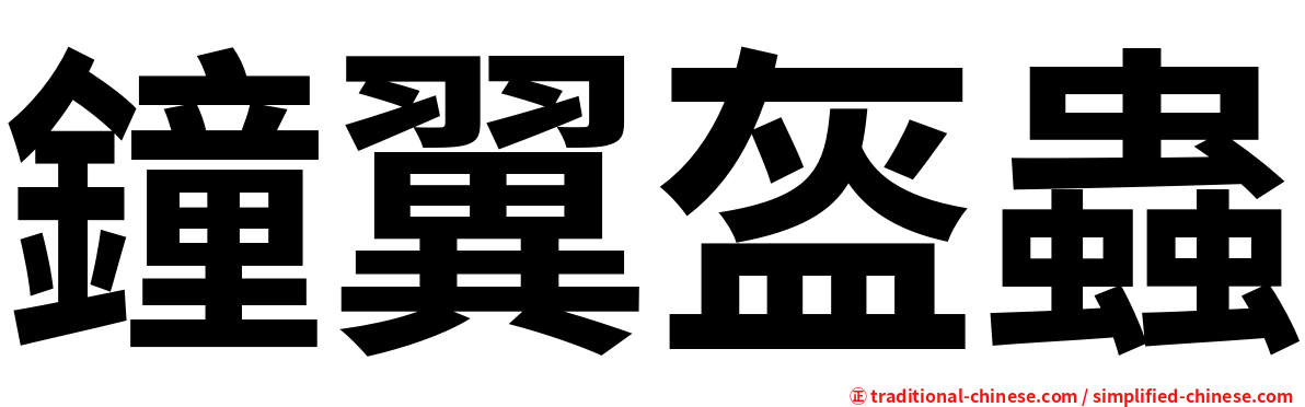 鐘翼盔蟲