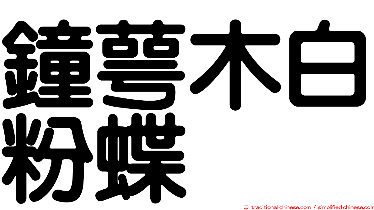 鐘萼木白粉蝶