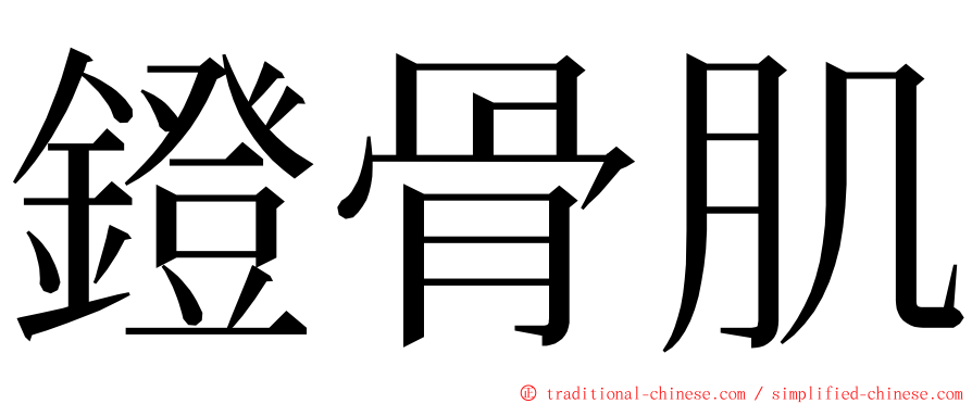 鐙骨肌 ming font
