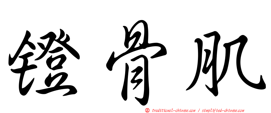 鐙骨肌