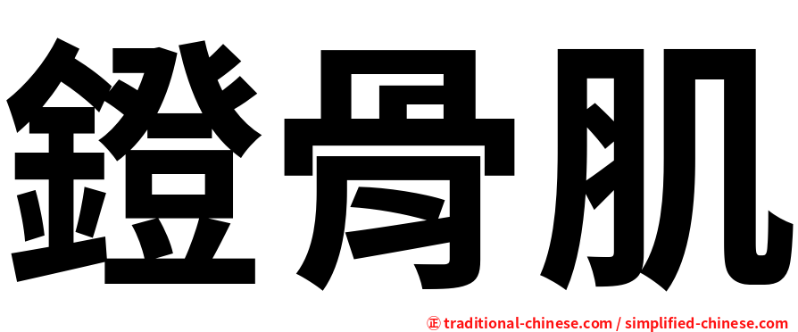 鐙骨肌