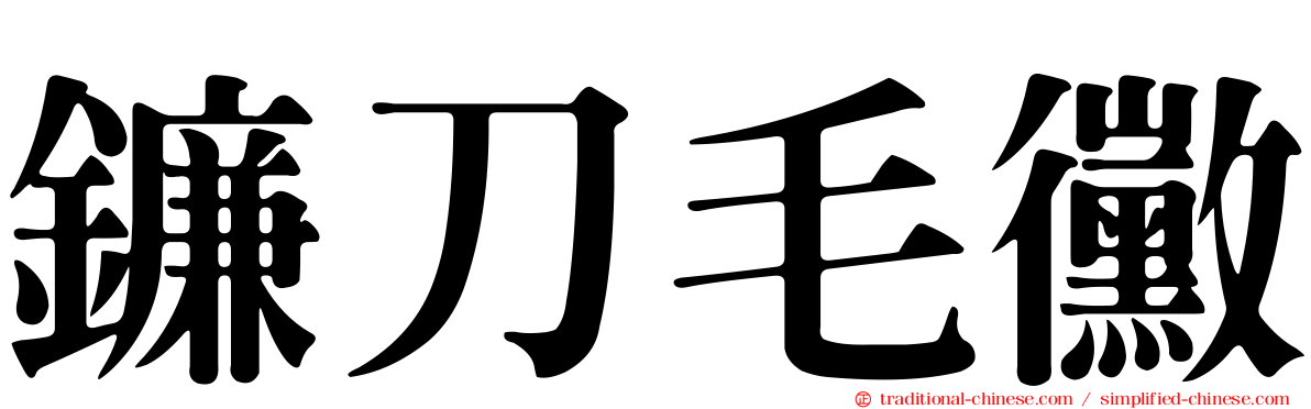鐮刀毛黴
