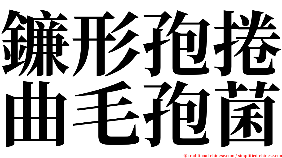 鐮形孢捲曲毛孢菌 serif font