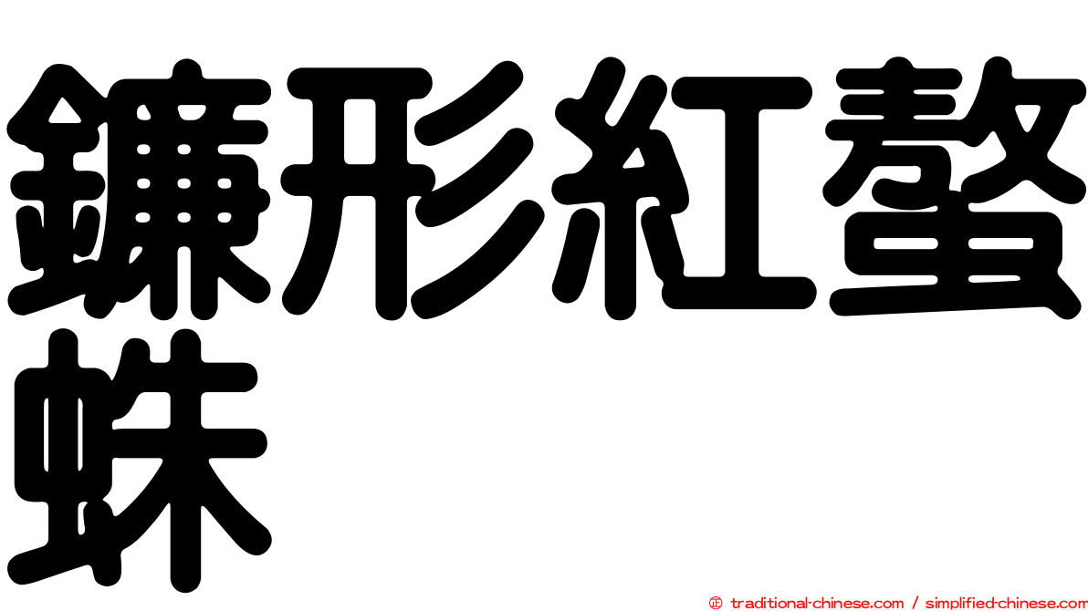 鐮形紅螯蛛