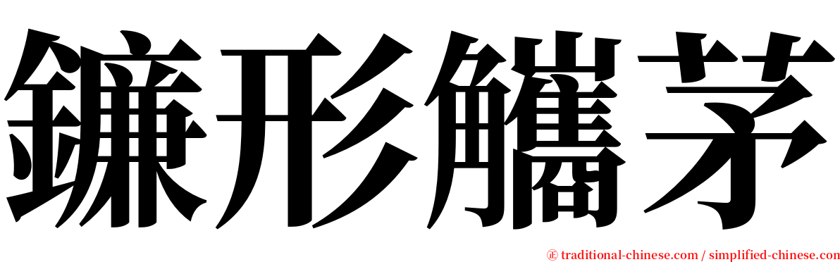 鐮形觿茅 serif font