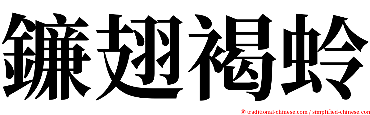 鐮翅褐蛉 serif font
