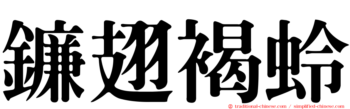 鐮翅褐蛉
