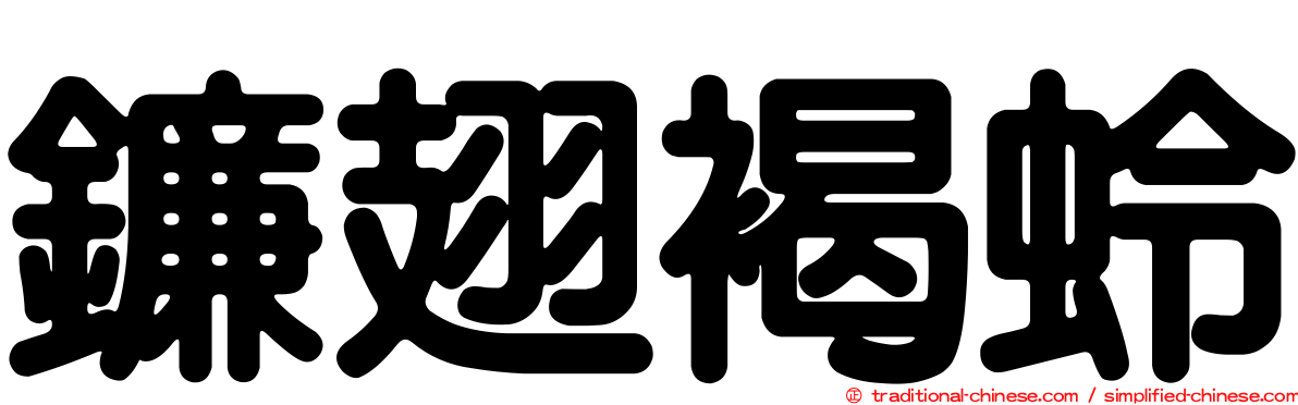 鐮翅褐蛉