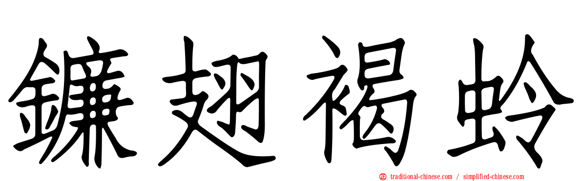 鐮翅褐蛉