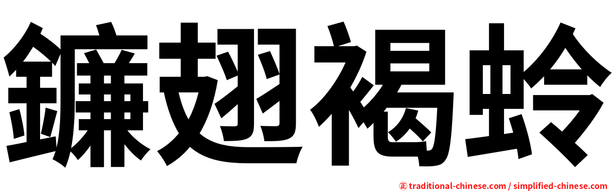 鐮翅褐蛉