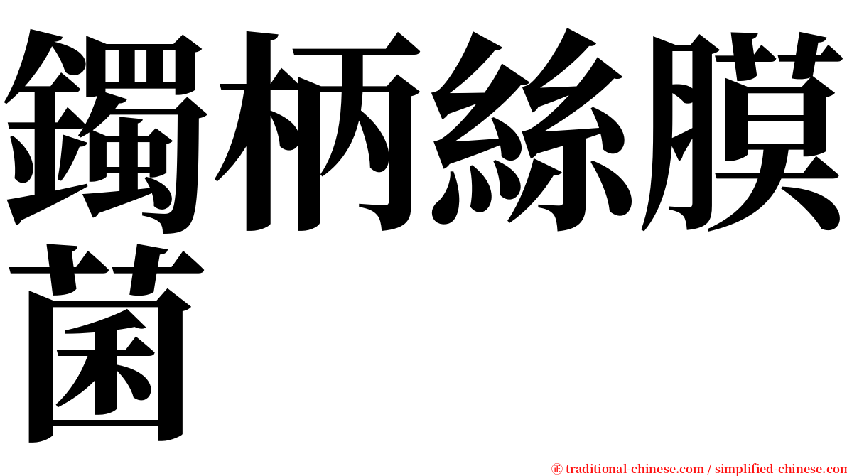 鐲柄絲膜菌 serif font