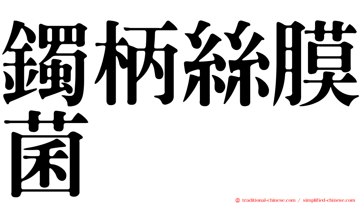 鐲柄絲膜菌
