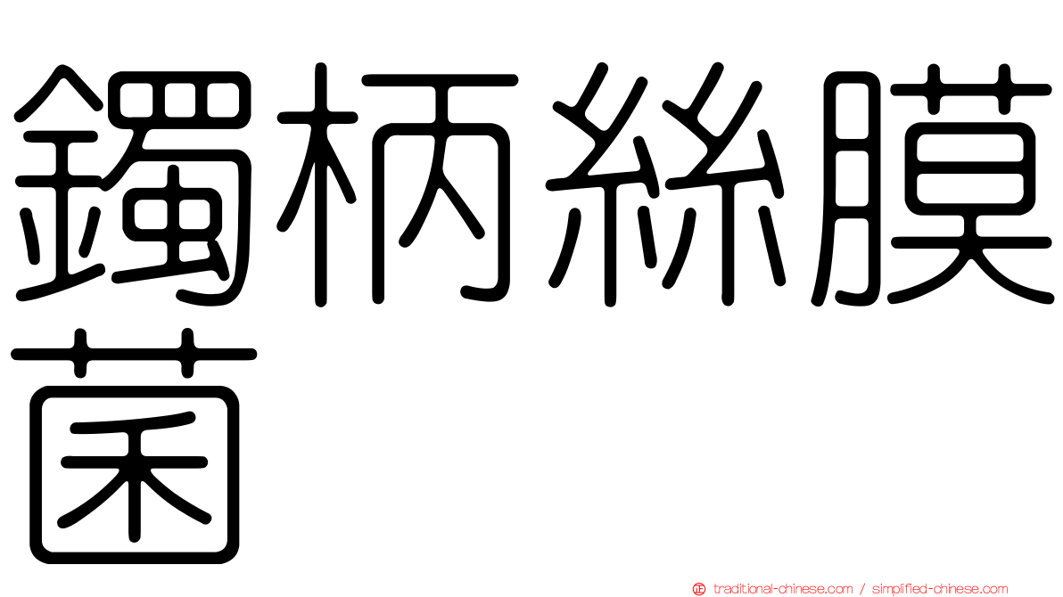 鐲柄絲膜菌
