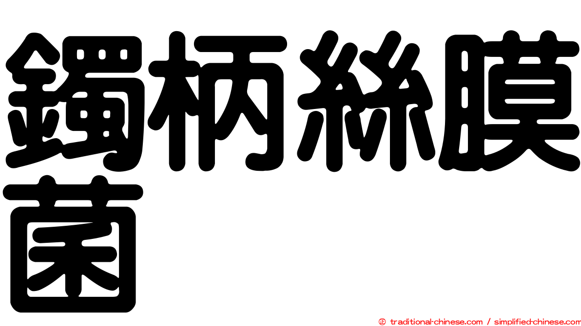 鐲柄絲膜菌