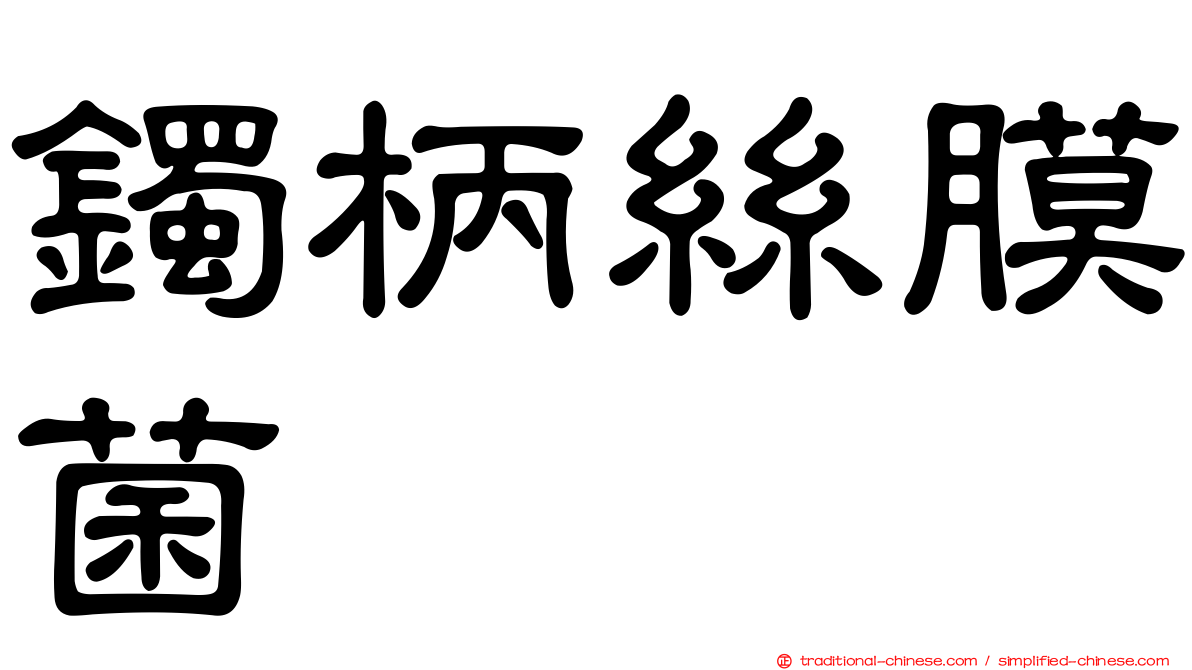 鐲柄絲膜菌