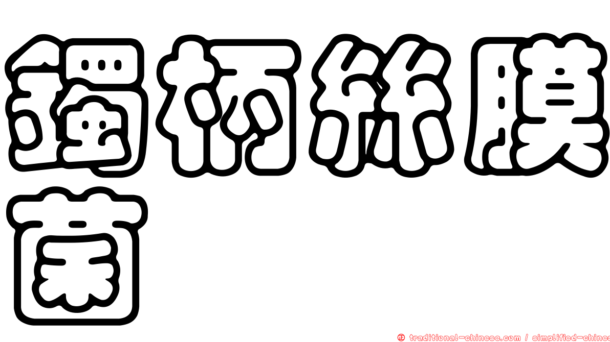 鐲柄絲膜菌