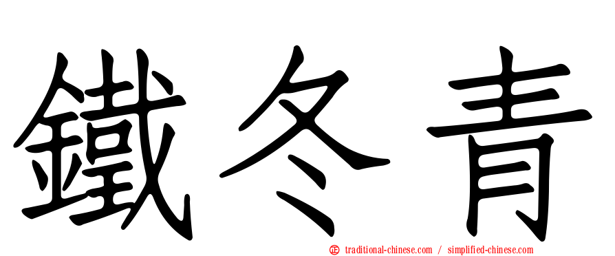 鐵冬青