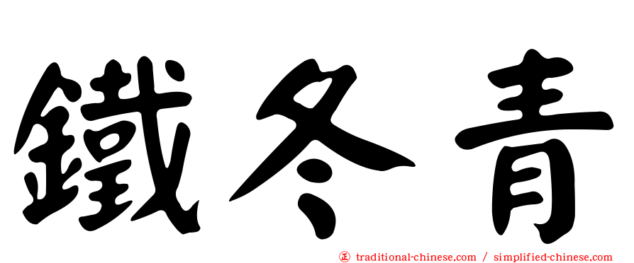 鐵冬青