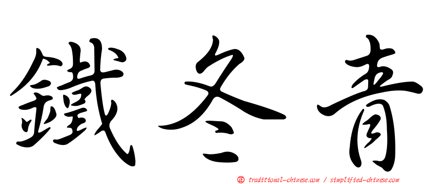 鐵冬青