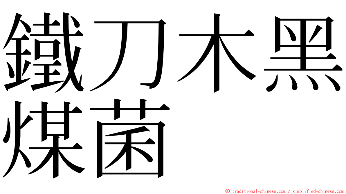鐵刀木黑煤菌 ming font