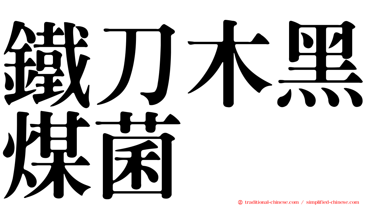 鐵刀木黑煤菌