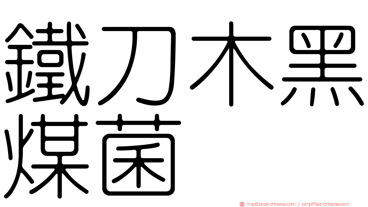 鐵刀木黑煤菌