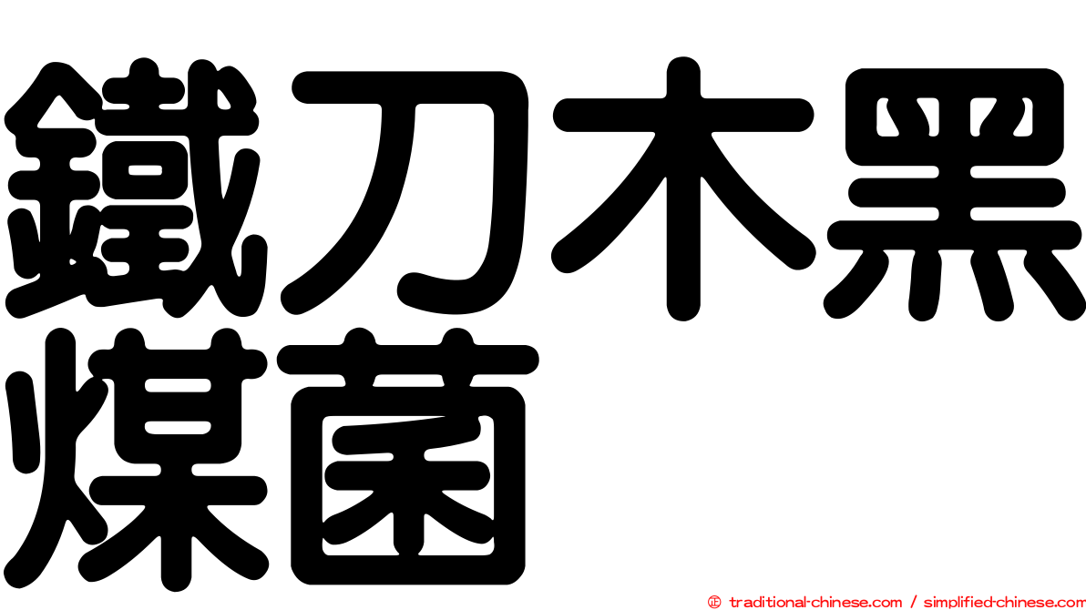 鐵刀木黑煤菌