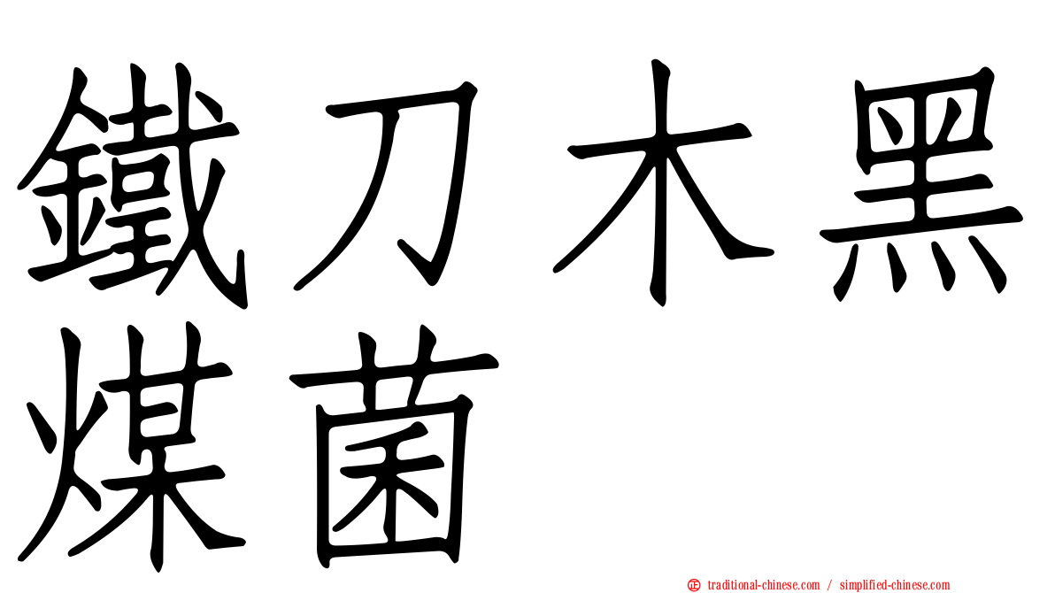 鐵刀木黑煤菌