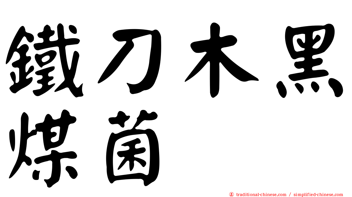 鐵刀木黑煤菌