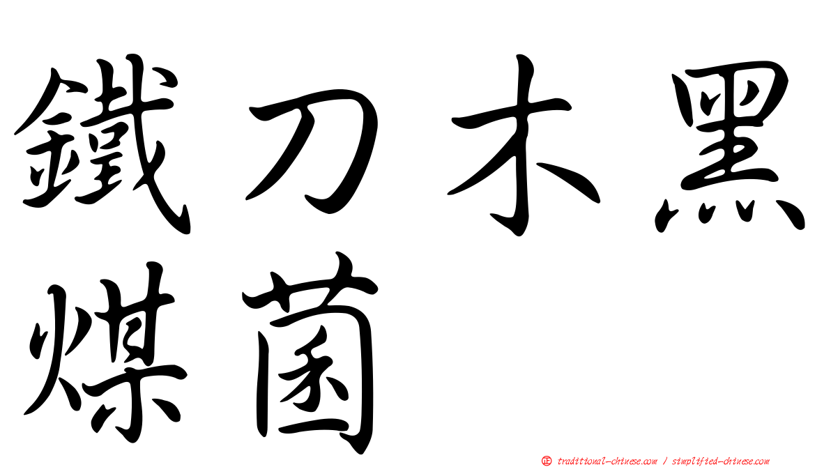 鐵刀木黑煤菌
