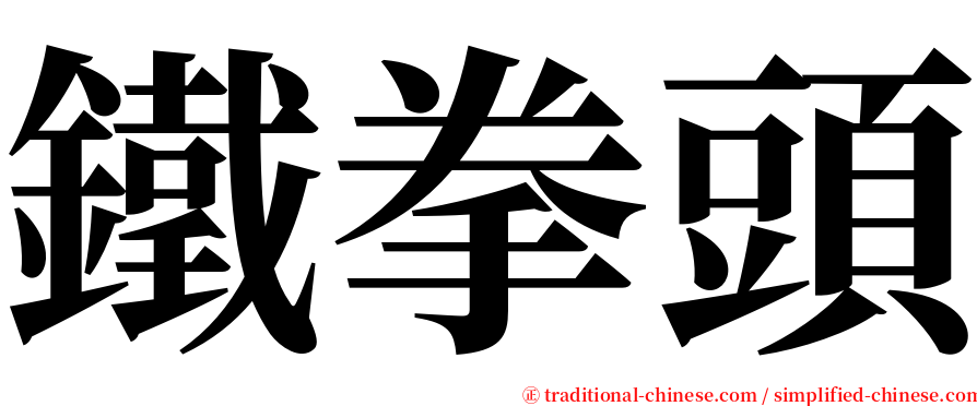 鐵拳頭 serif font