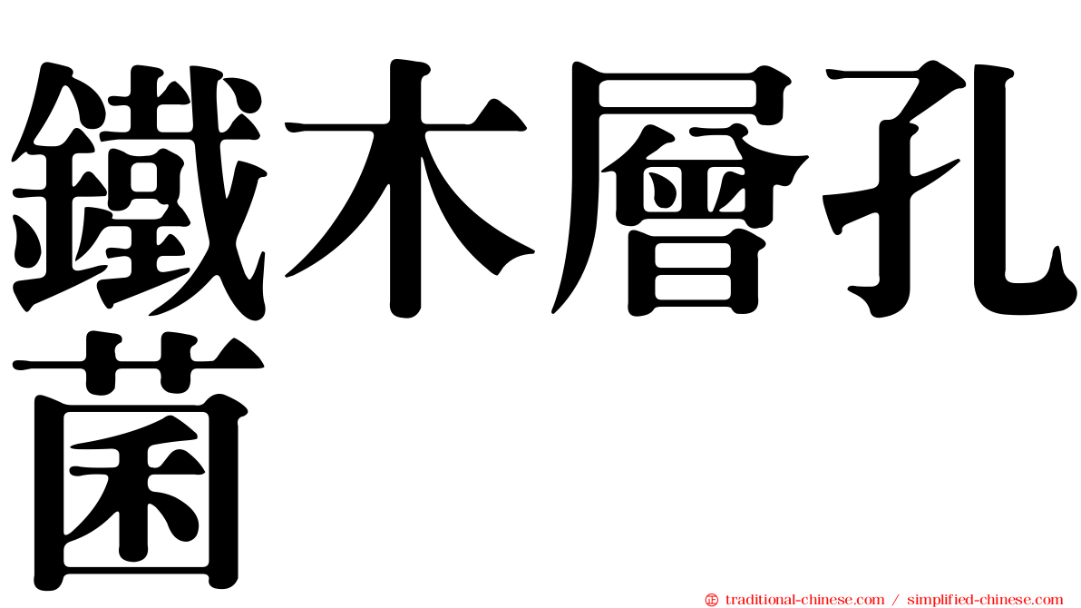 鐵木層孔菌
