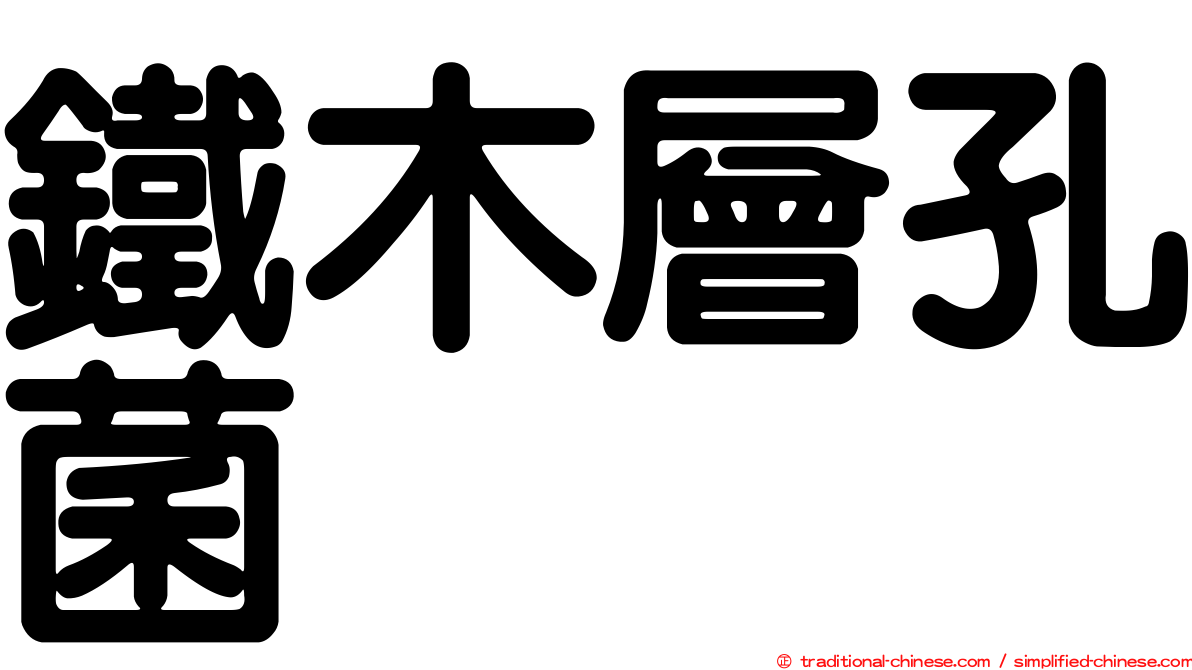 鐵木層孔菌