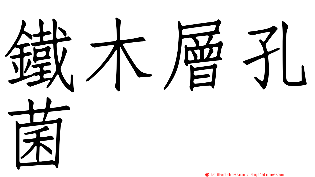 鐵木層孔菌