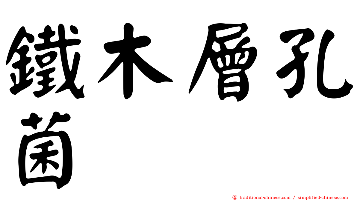 鐵木層孔菌
