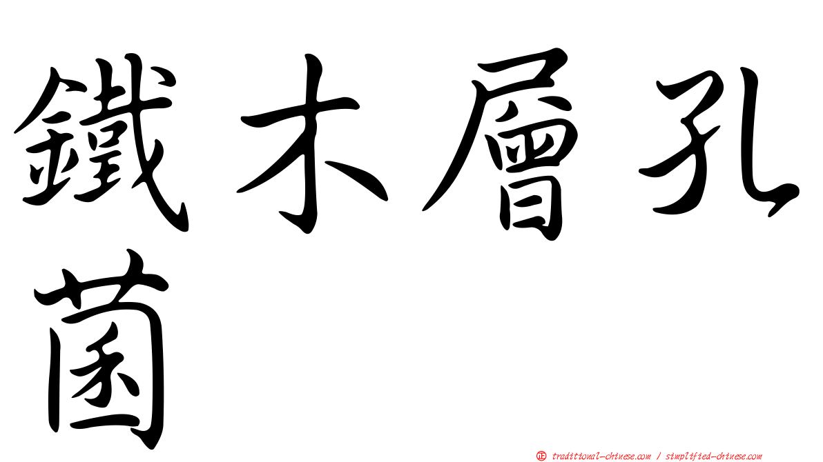 鐵木層孔菌
