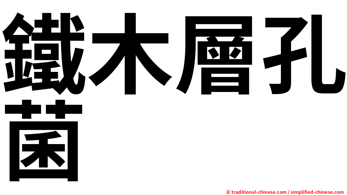 鐵木層孔菌