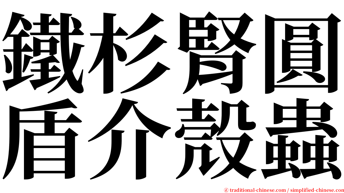 鐵杉腎圓盾介殼蟲 serif font