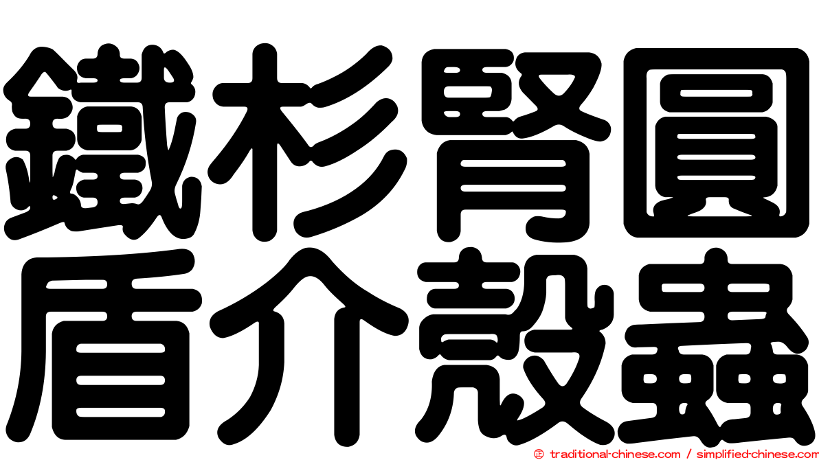 鐵杉腎圓盾介殼蟲