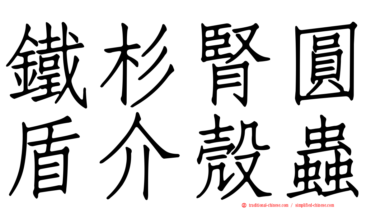 鐵杉腎圓盾介殼蟲