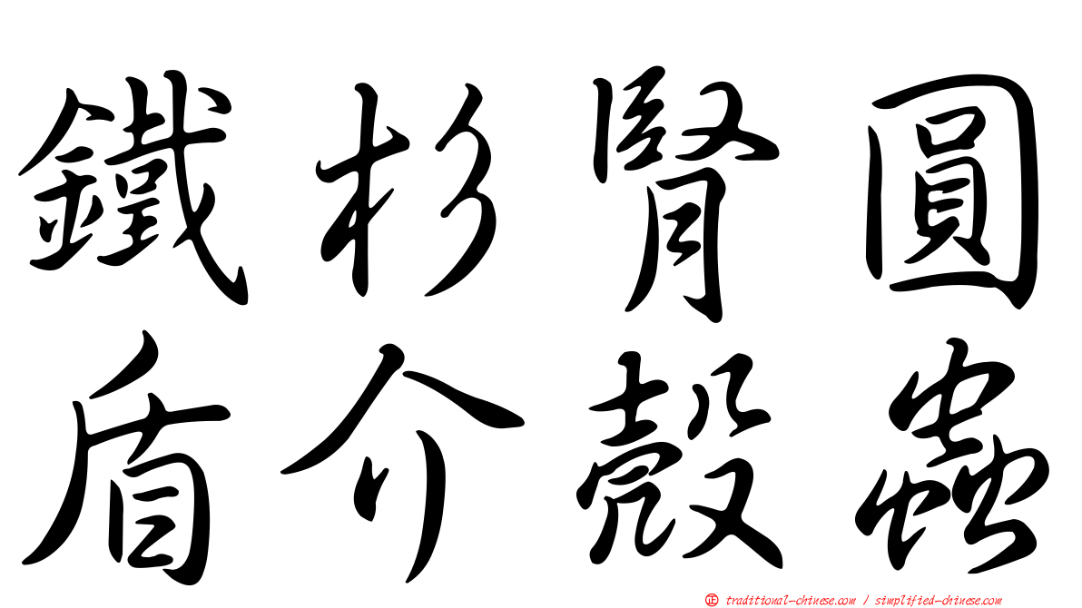 鐵杉腎圓盾介殼蟲