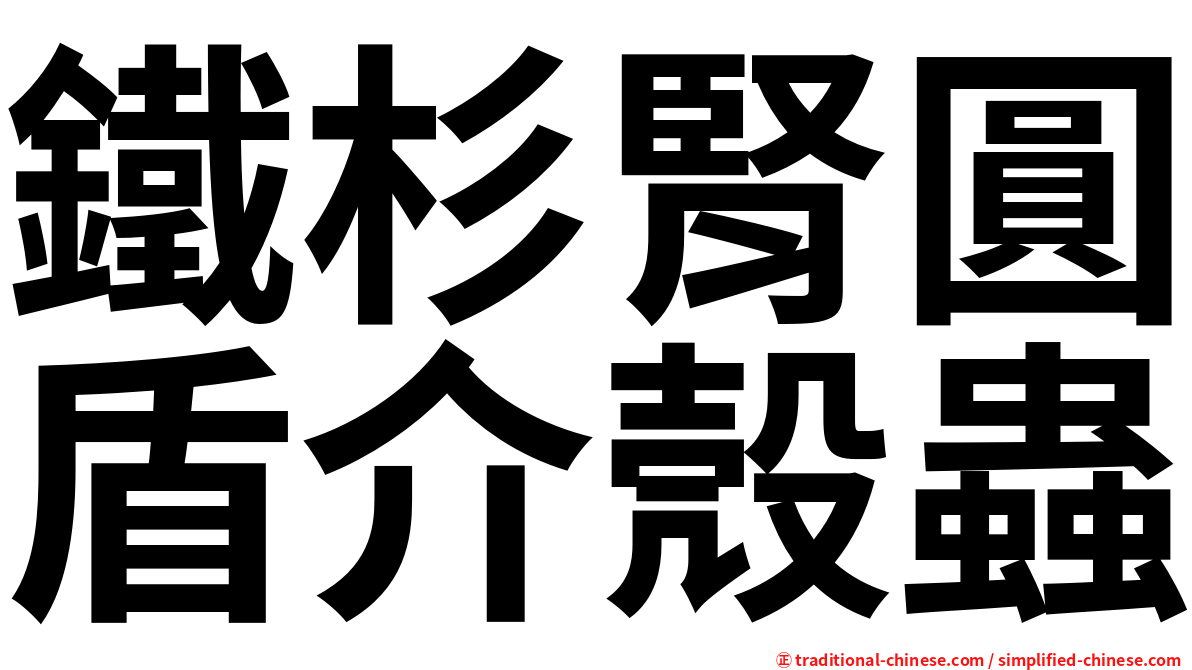 鐵杉腎圓盾介殼蟲