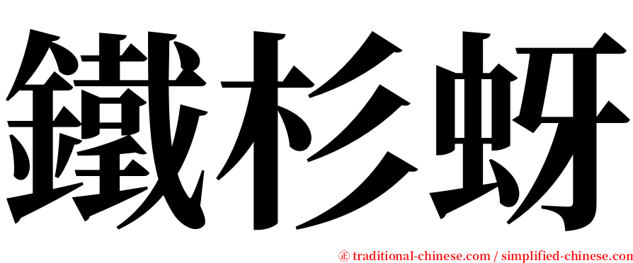 鐵杉蚜 serif font