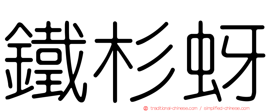 鐵杉蚜