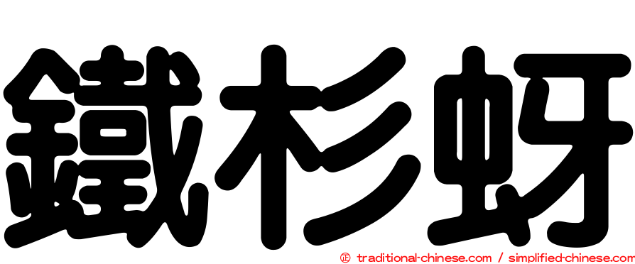 鐵杉蚜