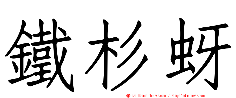 鐵杉蚜