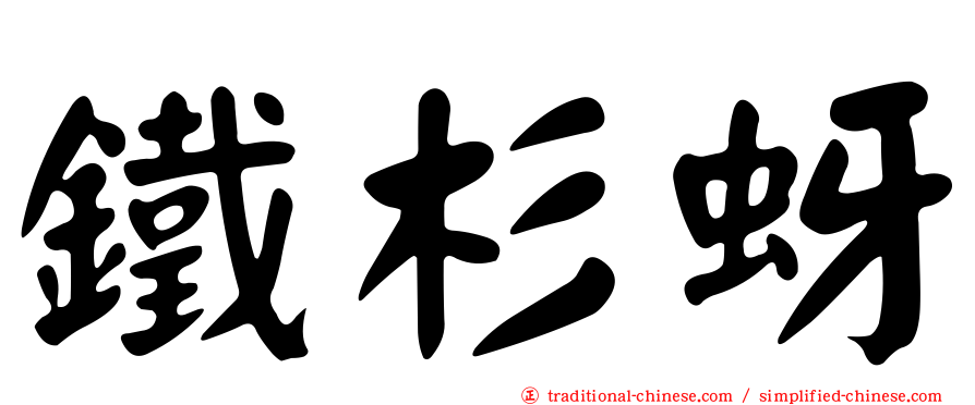 鐵杉蚜